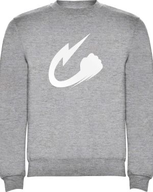 Sudadera Jin gris