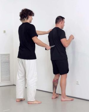Sambo Advance (40 supuestos)
