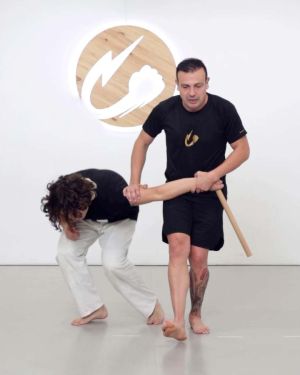 Sambo Pro (80 supuestos)
