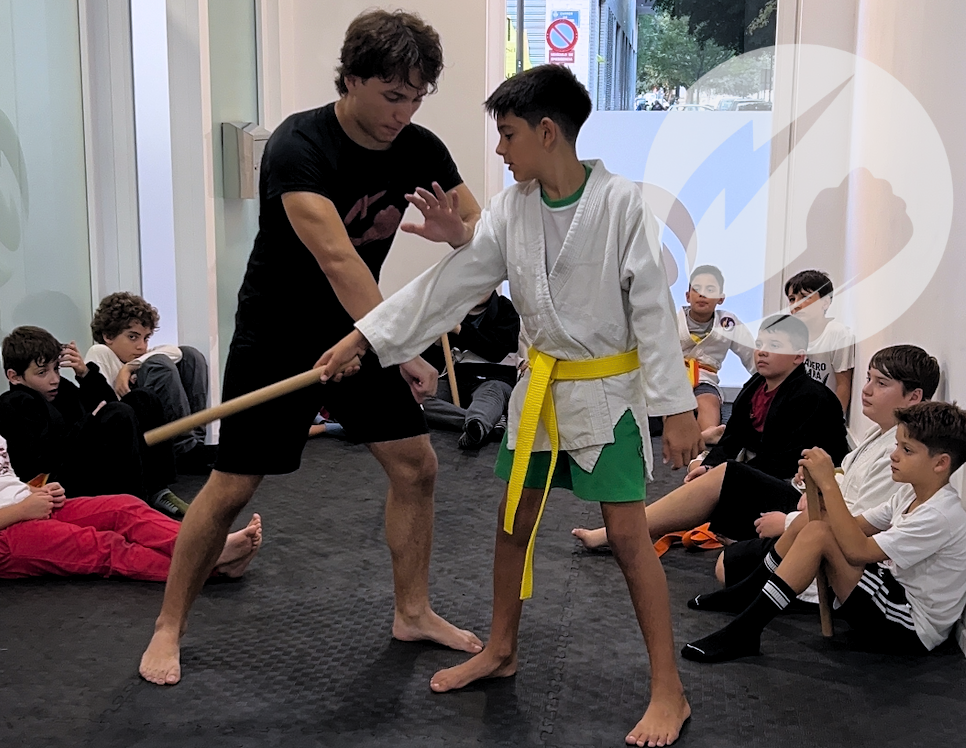 profesor-de-defensa-personal profesor de defensa personal